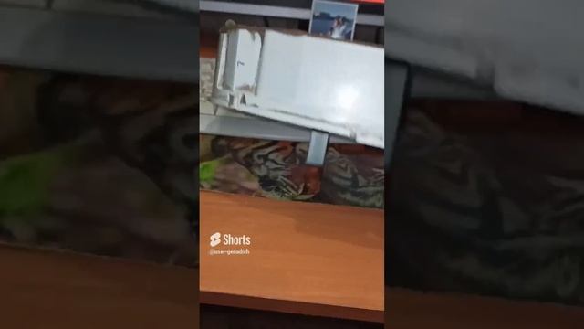 Разбор панели приборов ГАЗ 3110 2000 год