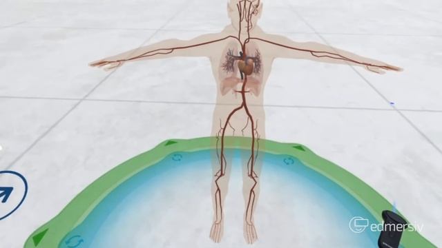 Edmersiv - Samsung Gear VR смотреть онлайн