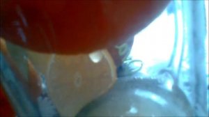 КАК БЫСТРО ВЫЖИТЬ СОК ИЗ АПЕЛЬСИНА