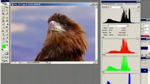 Видеоуроки по фотошопу. 87. Работа с гистограммой