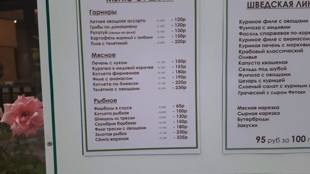 ШОК ЦЕНЫ В СТОЛОВОЙ. АЛУШТА, КРЫМ смотреть онлайн