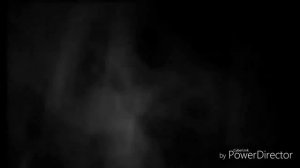 Рейк, разоблачение. Постановка знаменитого видео.