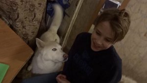 Волк ест ребенка, вторая серия