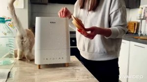 Увлажнитель воздуха Kitfort (Китфорт) KT-2811, обзор