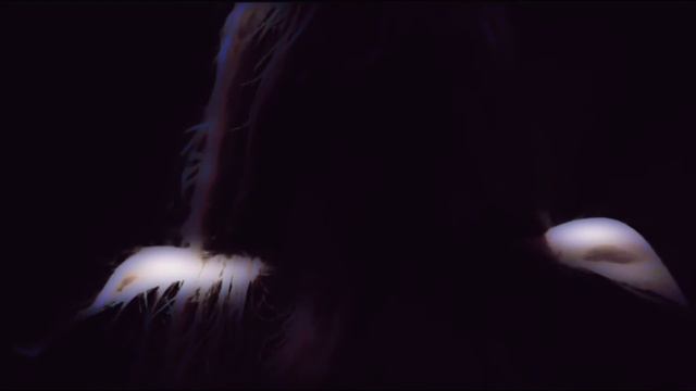 Ворота, откуда я вышел смотреть онлайн