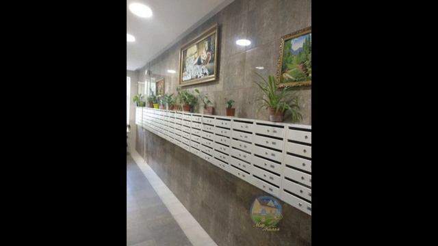 Продам студию в г. Балашиха ул. Бояринова д.11 смотреть онлайн