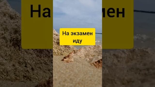 Шепоток. Успешная сдача экзамена