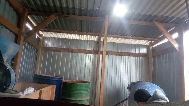 Делаем комбикорм для Свиней. Чистим кукурузу. смотреть онлайн