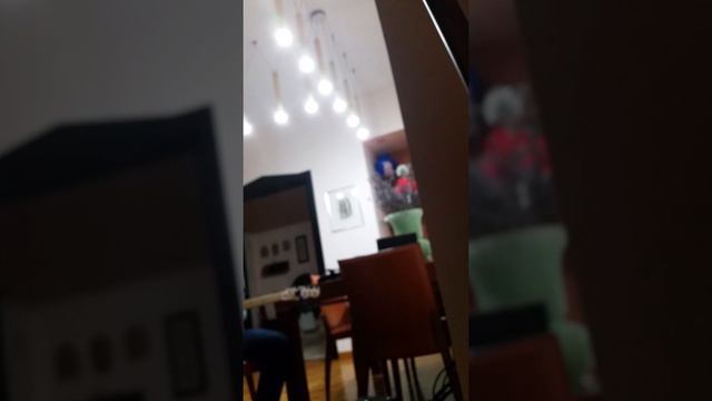 Ditto Looper Blues Improvisation смотреть онлайн