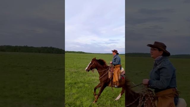 А мы гуляем!