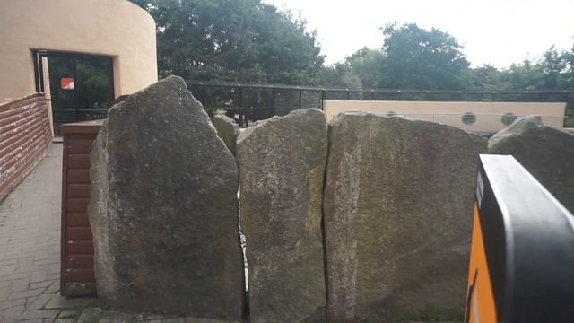 EDINBURGH ZOO VIRTUAL TOUR - PANDEMIC - Jalan Jalan ke Edinburgh Zoo !!! SCOTLAND TRIP смотреть онлайн