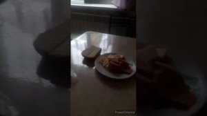 садово-огородные работы//подстригли Дину//богатырский сон у Шарика//попугай свинячит//(1 год назад)