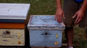 Подготовка пчел к зиме (Канада)