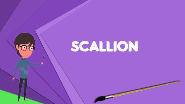 What is Scallion? Explain Scallion, Define Scallion, Meaning of Scallion смотреть онлайн