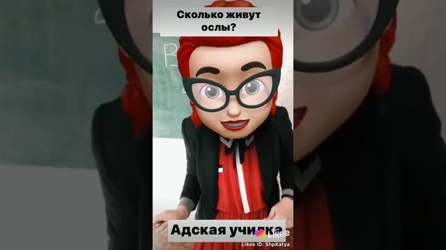 Сколько живут ослы?