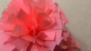 Помпоны для черлидинга POMS роза