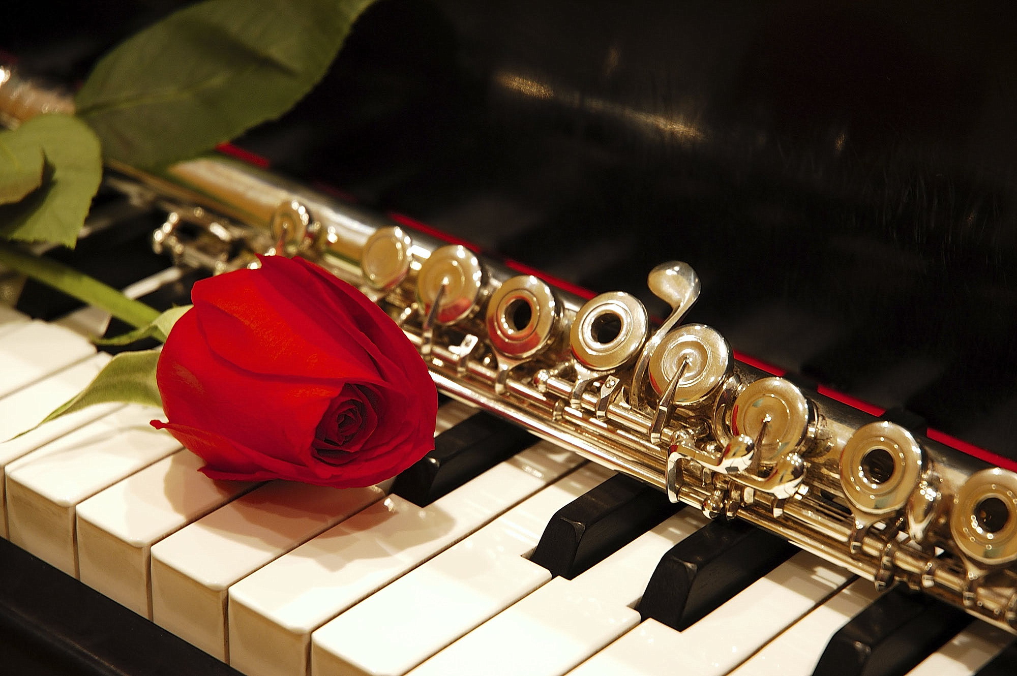 Великолепная семёрка