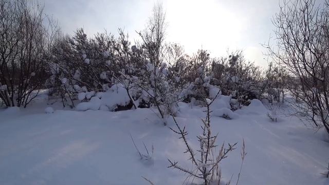 Выбиваем бабушкин ковёр. (инструкция) смотреть онлайн