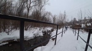 Метель, кормим уток. 9 марта 2019