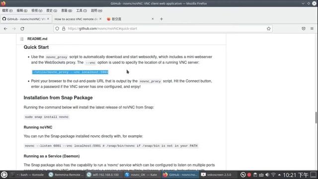 Use web browser to connect Linux VNC server(tigervnc+novnc) смотреть онлайн