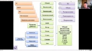 О цикле семинаров Психологическая биодинамика