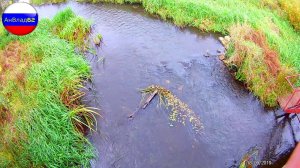 р. Старица, Солотча