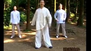 Тайцзи разминка