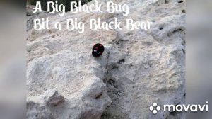 Tongue Twister. A big black bug...