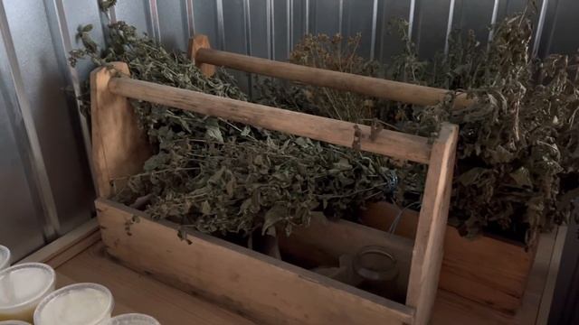 ЯСНОТКА БЕЛАЯ ИЛИ КРАПИВА ГЛУХАЯ -МЕДОДАЙ. смотреть онлайн