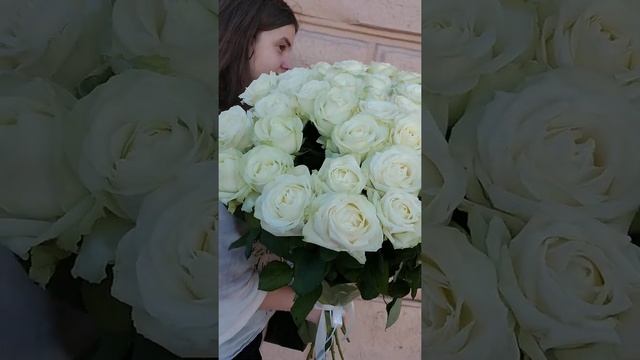 БУКЕТ БЕЛЫХ РОЗ СОРТ АВАЛАНЧ. 37 БЕЛЫХ РОЗ ВЫСОТА 80 СМ