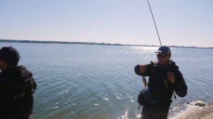 КАК НАЙТИ и на что ЛОВИТЬ ОКУНЯ этой ОСЕНЬЮ на СПИННИНГ? Баттл силиконовых приманок на ОКУНЯ