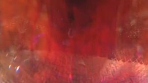 конвекционные потоки в воде с марганцовкой