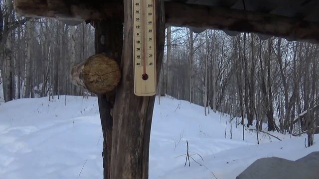 УШЕЛ В ЗЕМЛЯНКУ НОЧЕВАТЬ!!! НОВЫЙ ДЕКОР НА ЗЕМЛЯНКУ! ПЕС МЕНЯ ПРЕДАЛ! Земляника у озера. смотреть онлайн