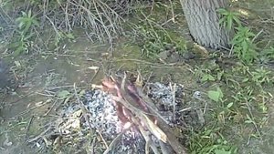 Рыбалка на реке Тобол с элементами выживания