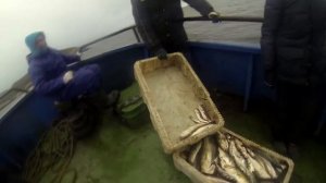 Рыбалка в Баренцевом море недалеко от Мурманска [часть 2]