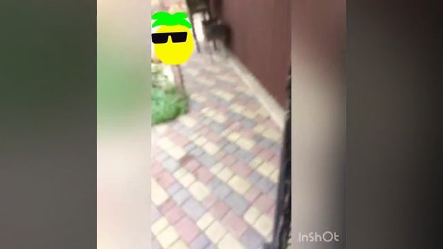 Гіроборт(1відео) смотреть онлайн