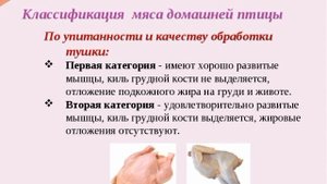 классификация мяса птицы