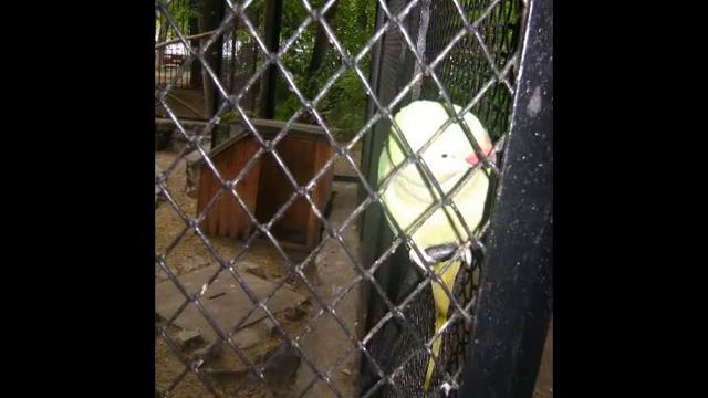 мои фотки как я отдыхала в Белорусии смотреть онлайн