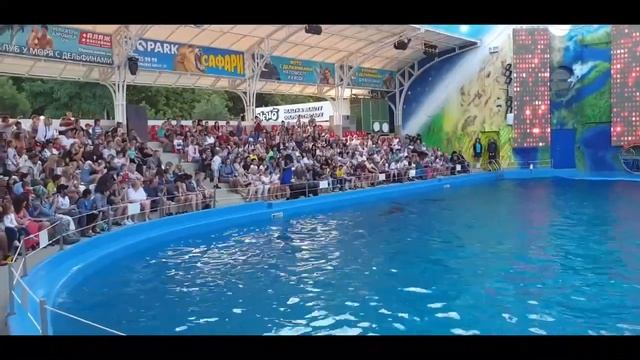 Дельфинарий Немо Одесса представление дельфинов смотреть онлайн