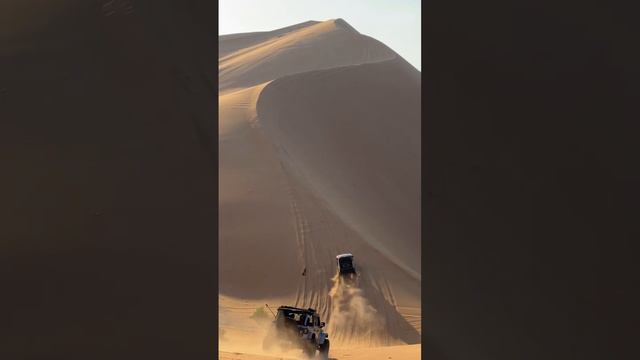 Abu Dhabi Desert Safari