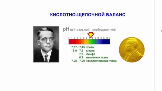 Фурор Школа Закисление организма. Причины и последствия.