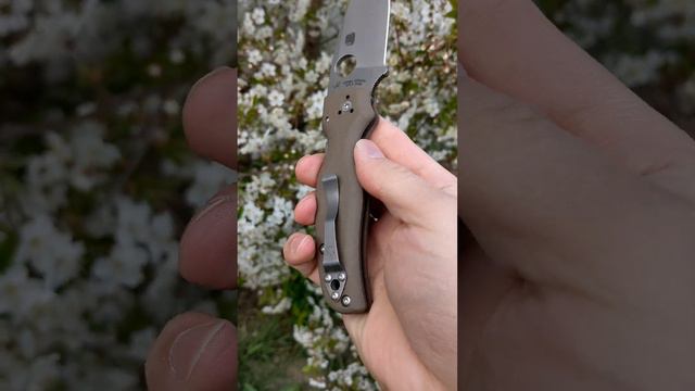 Spyderco Shaman 15V C229GBN15V