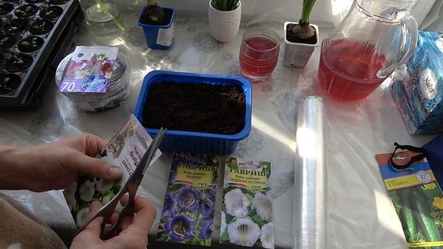 Домашнее видео. Хроника. Поздно, но посею Кобею и Табак душистый. смотреть онлайн