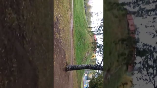 Долгопрудный красивый город Парк смотреть онлайн