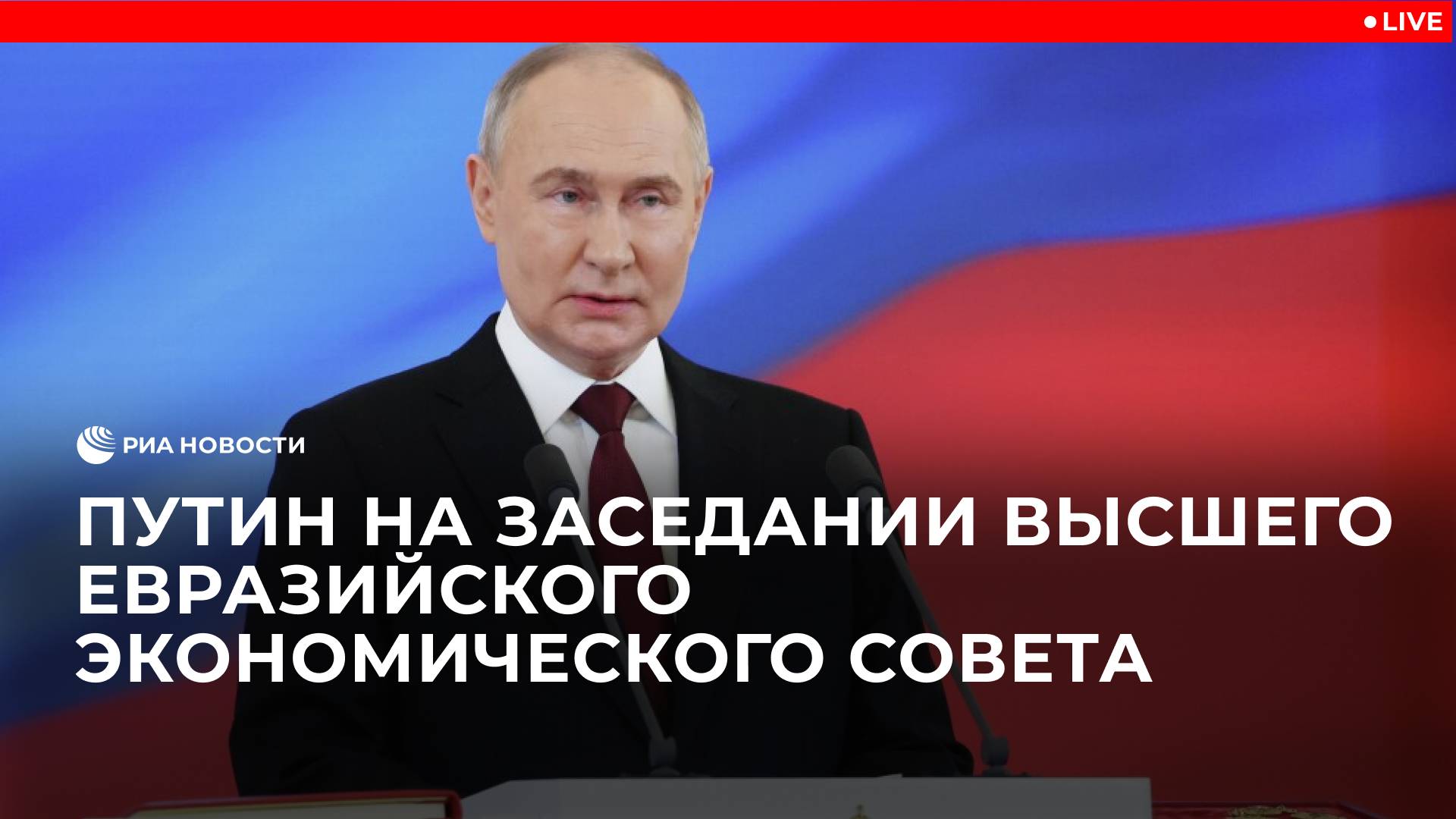 Путин на заседании Высшего Евразийского экономического совета