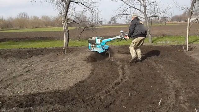 Активная роторная борона на 135-ом мотоблоке... Закрытие влаги.
