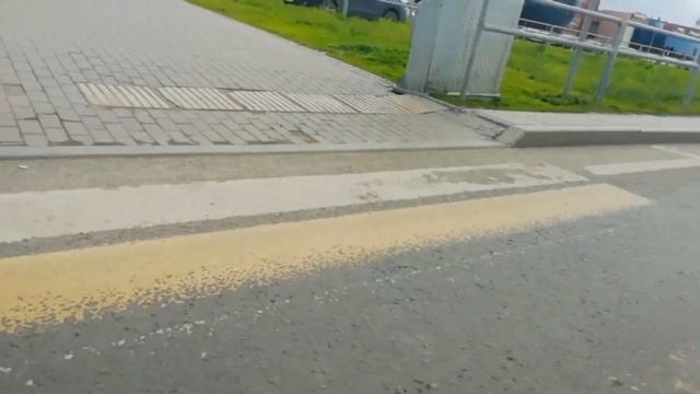 ПОКУПАЮ ПОДАРОК МЛАДШЕМУ БРАТУ НА ДЕНЬ РОЖДЕНИЕ? (типа vlog) смотреть онлайн