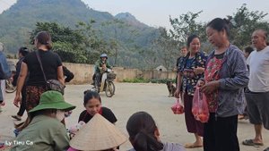 Single Mother 17 Years Old - Picking Tomatoes to Sell & Buying a Breeding Chicken