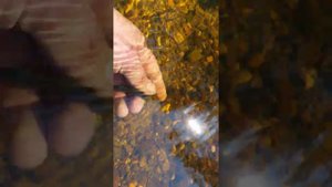 Рыбалка в Коми . Минога семидырка отдых туризм лето рыбалка в коми