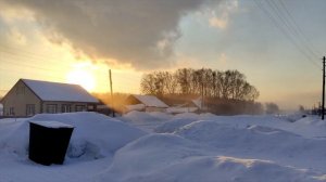 Большая мурта